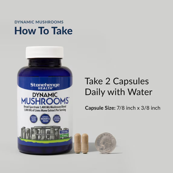 Stonehenge Health Dynamic Mushroom Complex - 60 Veggie Capsules