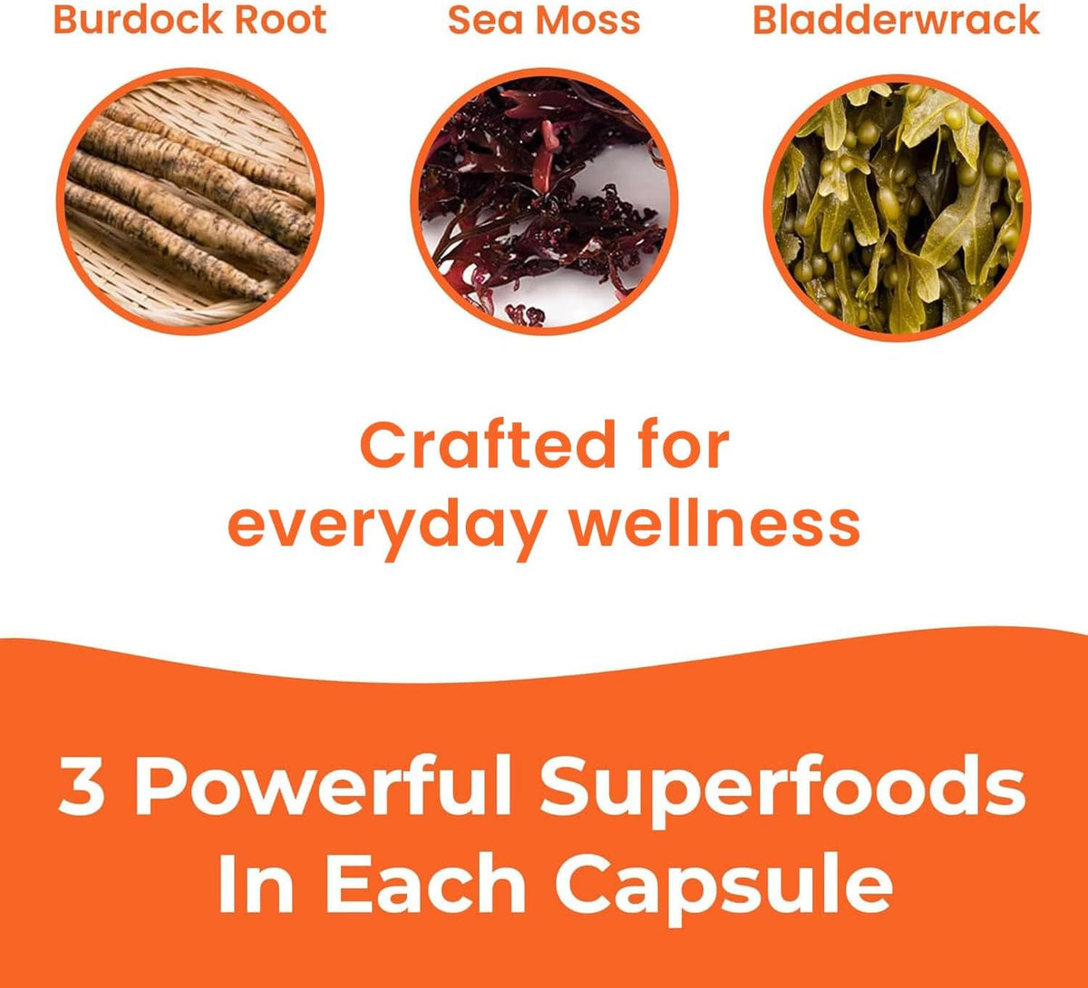 INFINITE AGE 1250mg Sea Moss Advanced Superfood Capsules - High-Potency Vegan Supplement - 60 Count