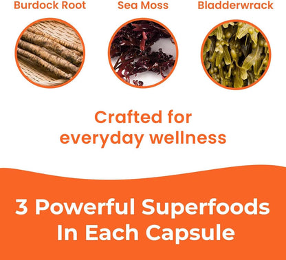 INFINITE AGE 1250mg Sea Moss Advanced Superfood Capsules - High-Potency Vegan Supplement - 60 Count